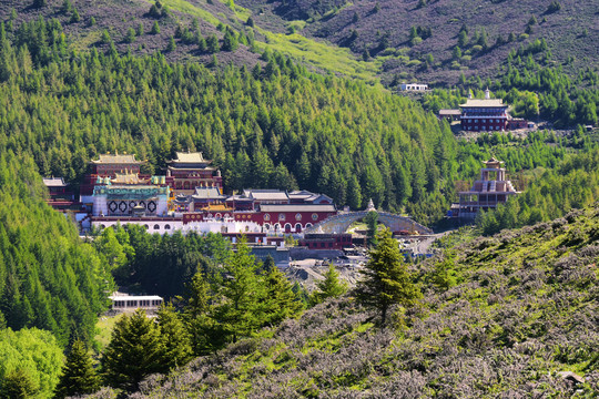 吉祥寺