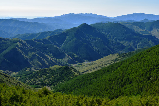 山景