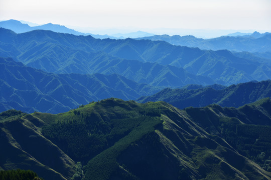 山景