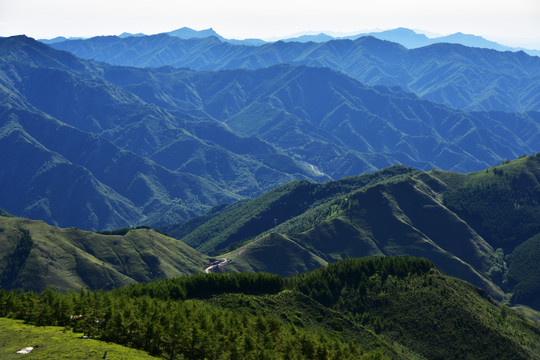 山景