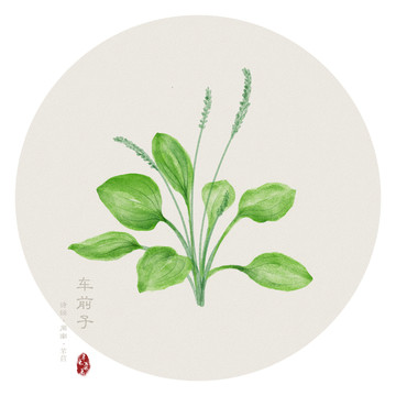 手繪芣苢