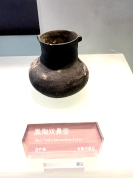 黑陶雙鼻壺