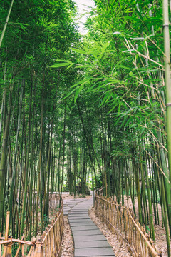 成都杜甫草堂风光