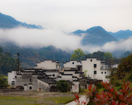 婺源庐坑