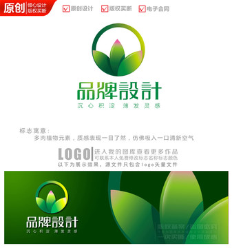 立体多肉植物logo商标标志