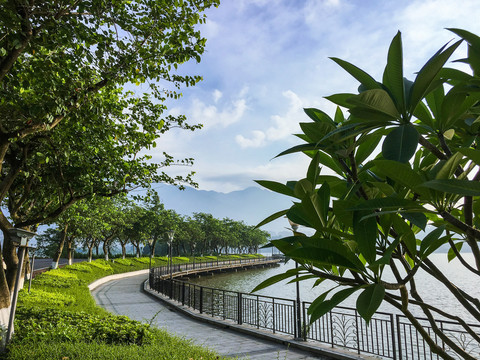 肇庆波海湖环湖绿道休闲道