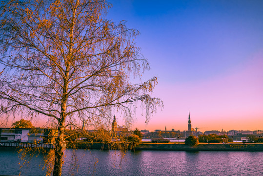 里加早晨