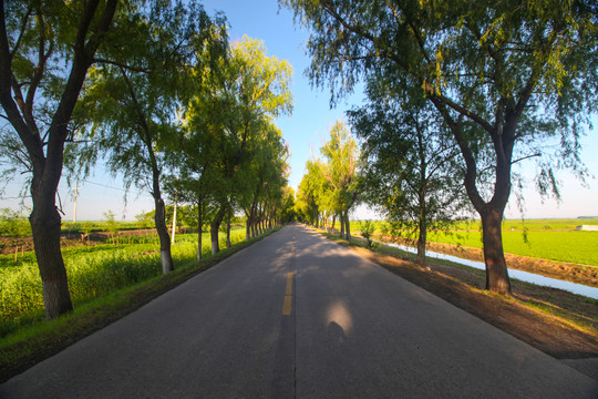 道路