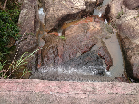 森林度假村景点