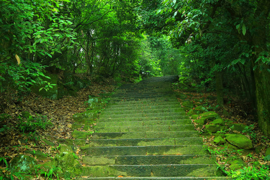 登山