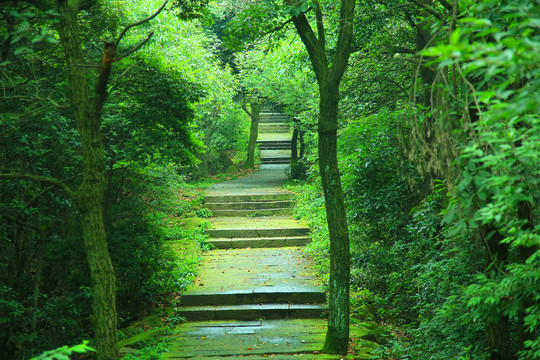 登山