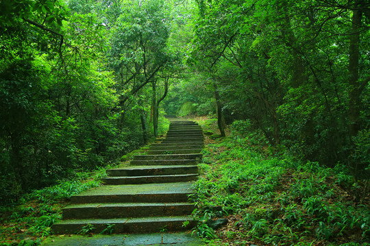 登山