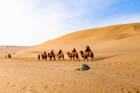 敦煌鸣沙山沙漠骆驼队