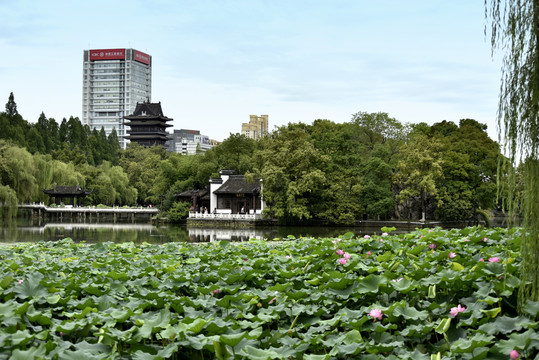 合肥包河景色