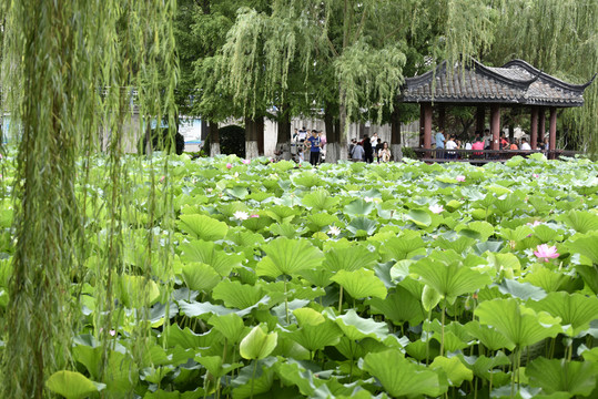 合肥包河景色