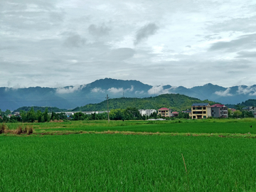 乡村美景