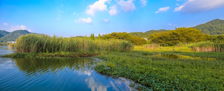 宁波东钱湖马山湿地全景