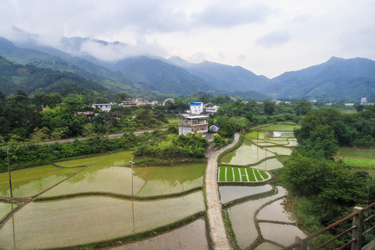 湘南田园风光3