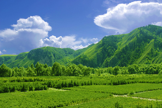 田园风景画