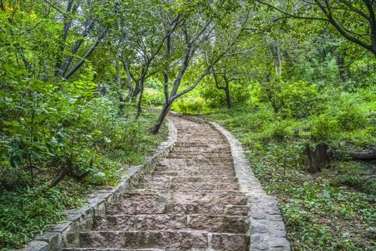 北京香山高清大图