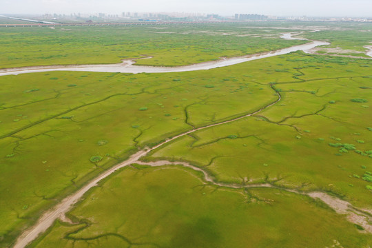 杭州湾新区滩涂地