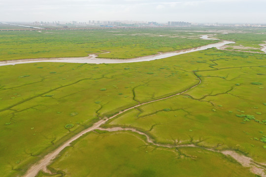 杭州湾新区滩涂地