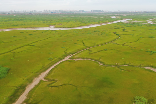 杭州湾新区滩涂地