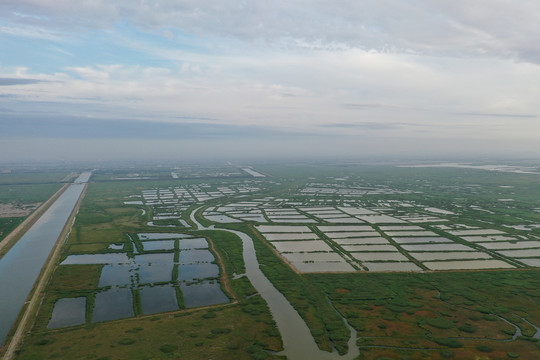 杭州湾新区滩涂地