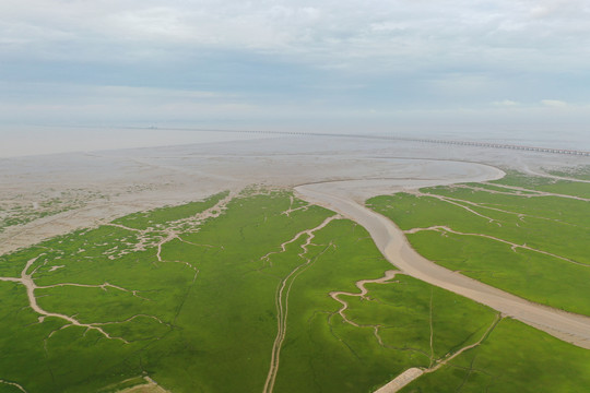 杭州湾新区滩涂地