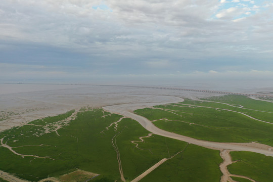 杭州湾新区滩涂地