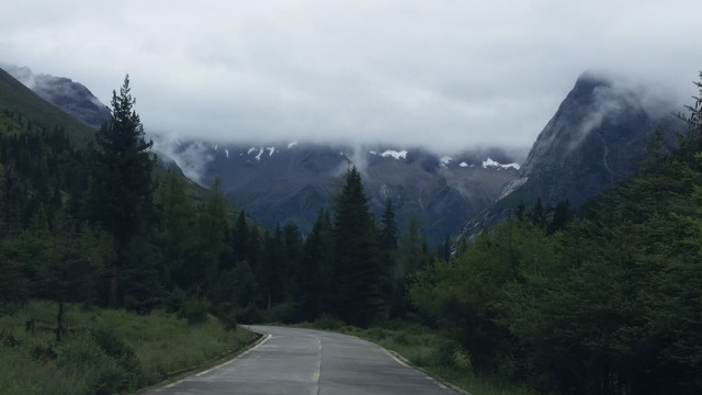 高山森林