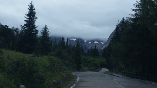 高山森林