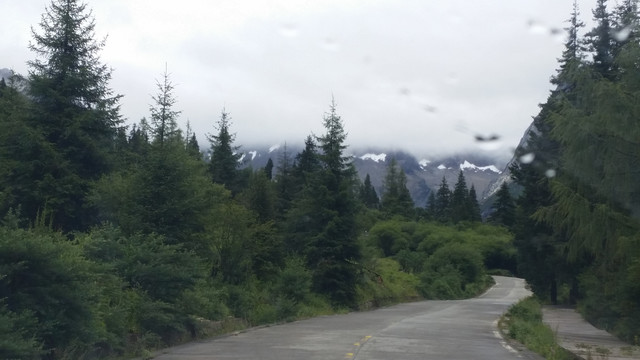 高山森林