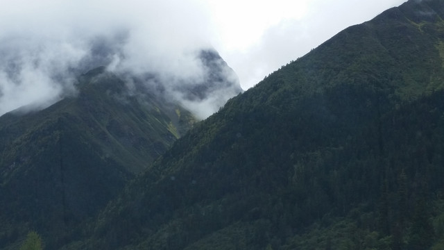 云雾大山景观