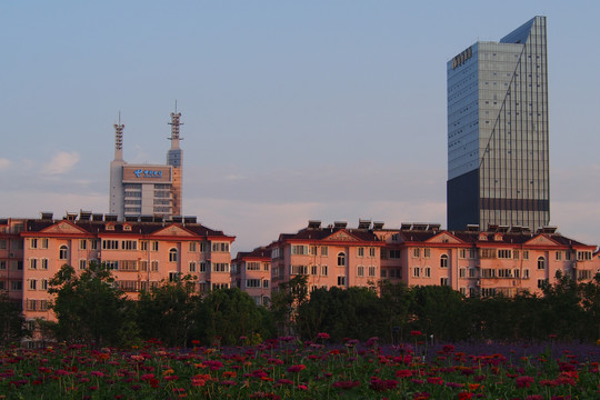 城市花田