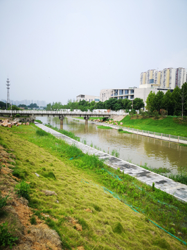 河道治理