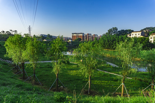 乡村风景