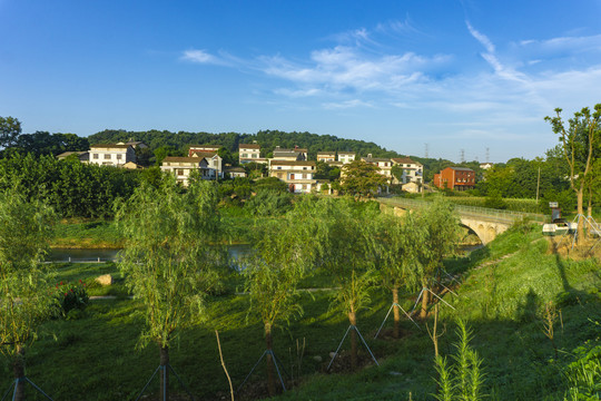 乡村风景