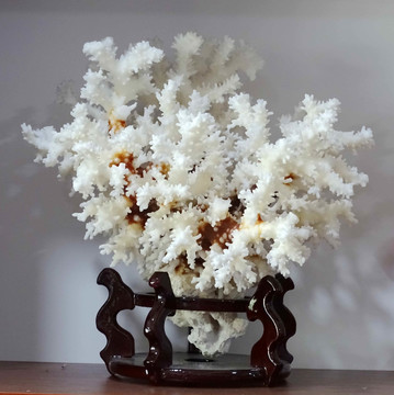 珊瑚工艺品