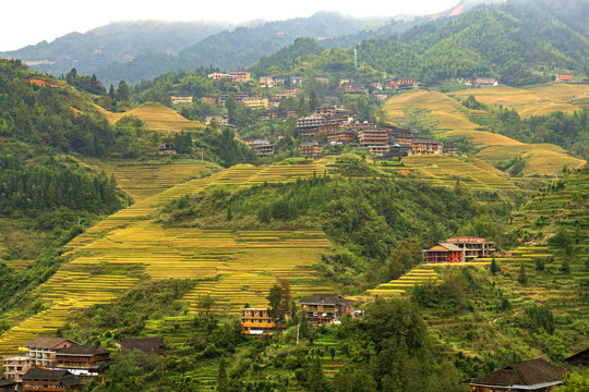 山寨梯田