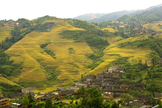 山寨梯田