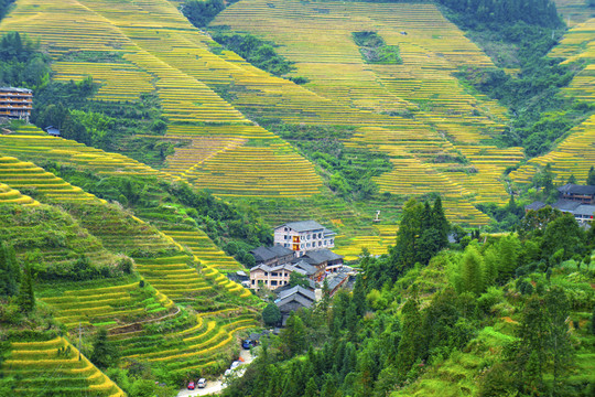 山寨梯田