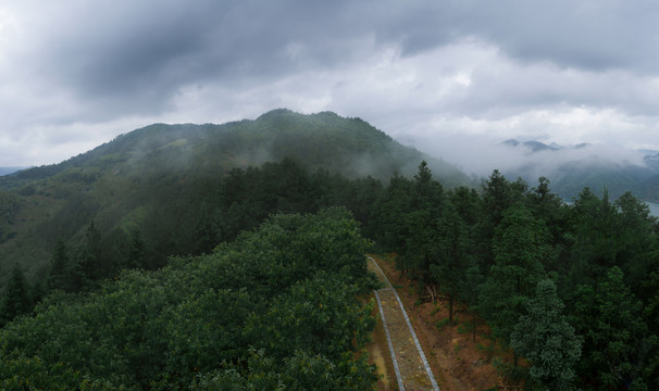 大山深处