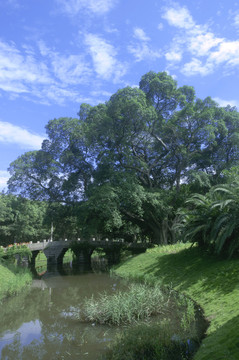 小河边风景