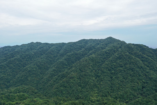 山水武宁