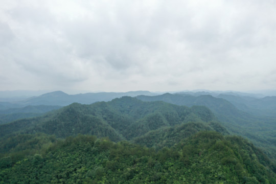 太平山风光