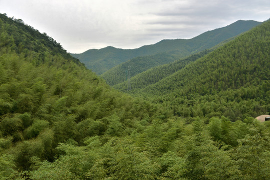 溧阳南山竹海