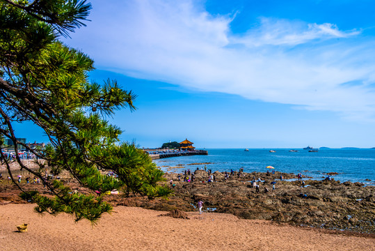 青岛栈桥