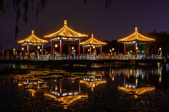 中国长春南湖公园夜景