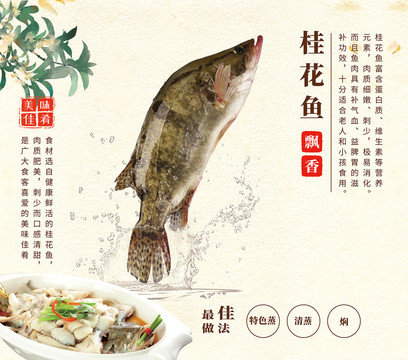 餐飲魚(yú)類(lèi)海鮮畫(huà)框海報(bào)設(shè)計(jì)